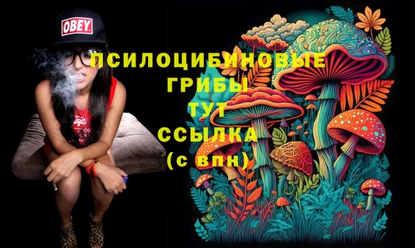 прущий лед Абинск