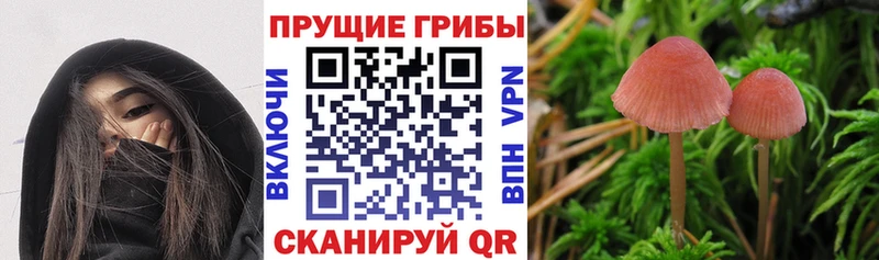 Галлюциногенные грибы Magic Shrooms Шахунья